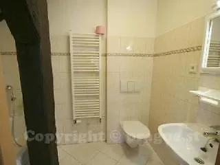 우 릴리 3*