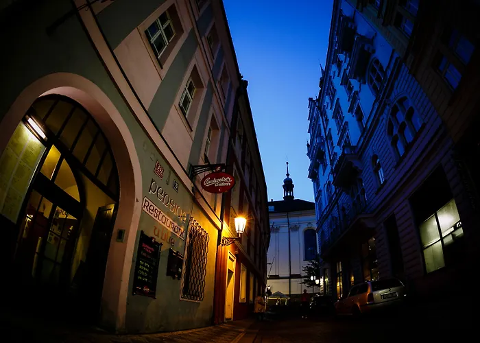 U Lilie Penzion Praha